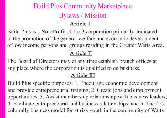 wajeha bilal founder of build plus non profit community organizaiton